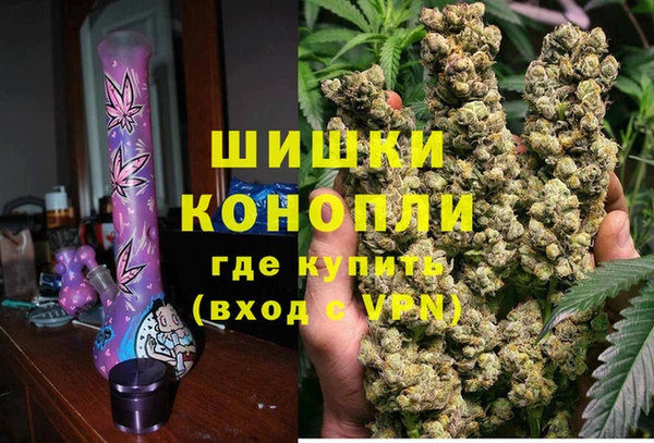 PSILOCYBIN Инта