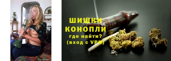 PSILOCYBIN Инта