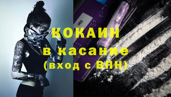 PSILOCYBIN Инта